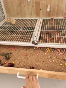 Cloud House Cage Large - Image 3