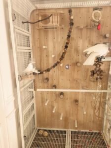 Cloud House Cage Large - Image 4