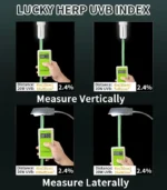 20W 2.4% UVB Bulb for Parrot Health & Vitamin D3 Support - Image 4